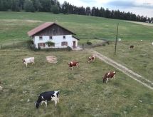 Vrijstaande vakantiewoning aan de skipiste in Le Noirmont - thumbnail 1