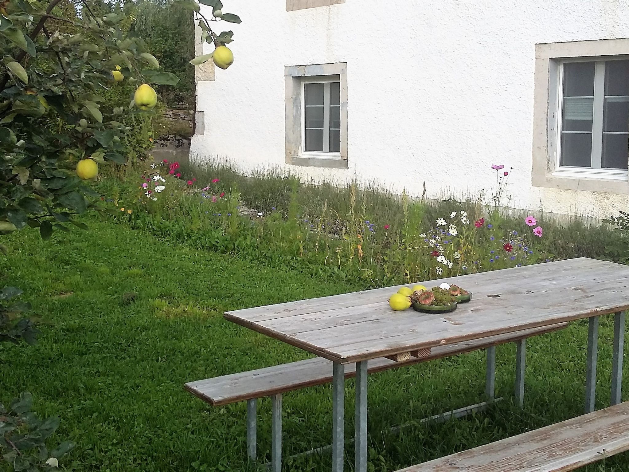 Appartement - Chez Thérèse, (Le Noirmont), - Buiten