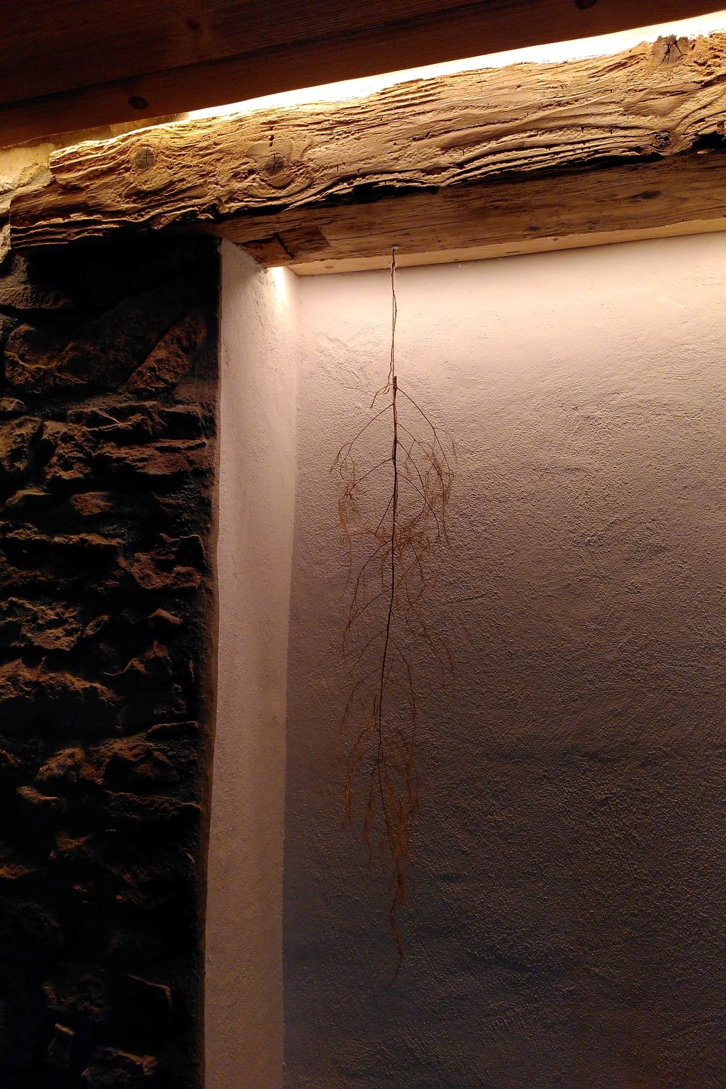 Appartement - Chez Thérèse, (Le Noirmont), - Outside