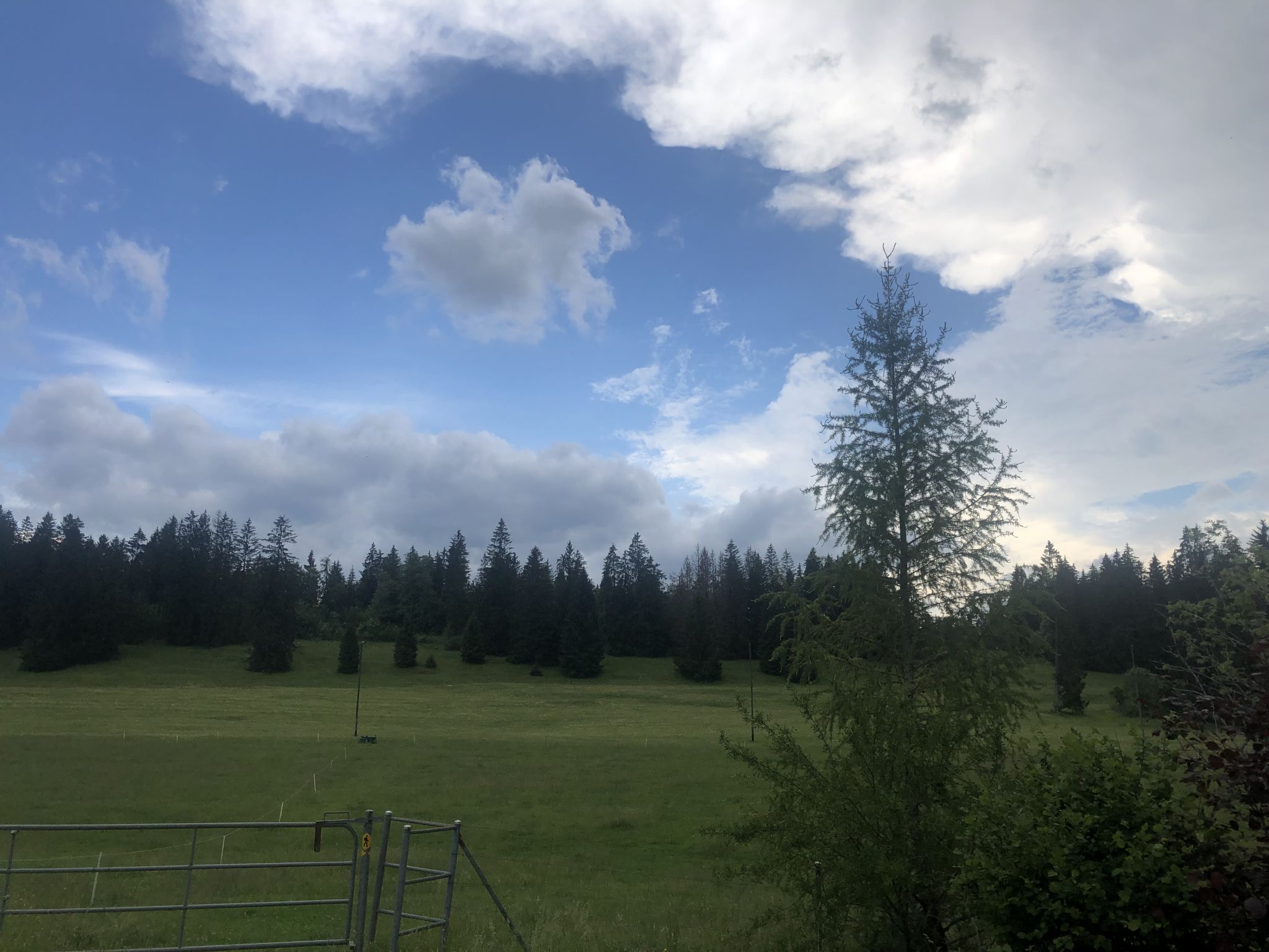 Appartement et B&B - Ferme O'Badu, (Les Breuleux), - Buiten