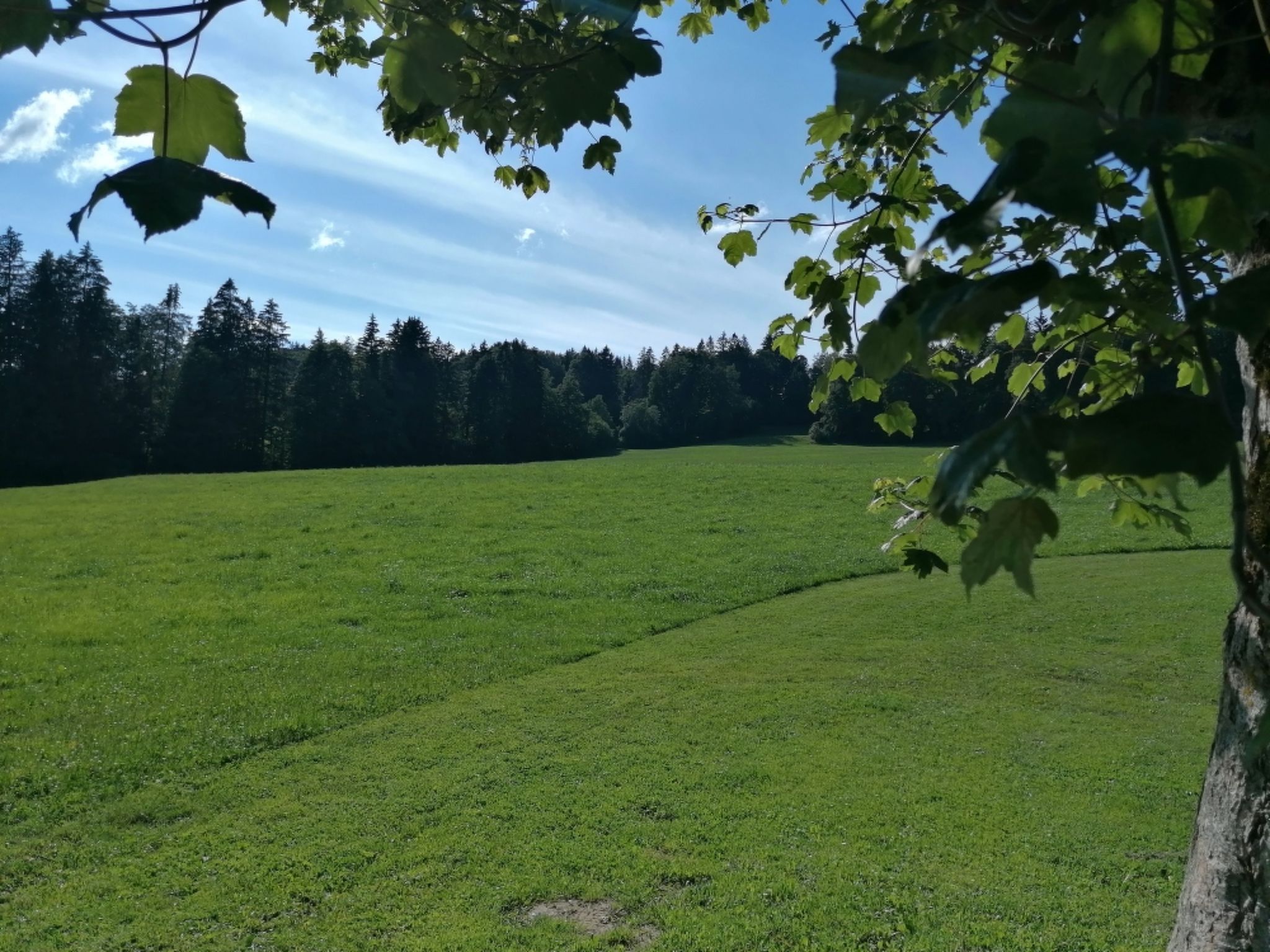 Appartement - Les Poingnats, (Les Breuleux), - Buiten