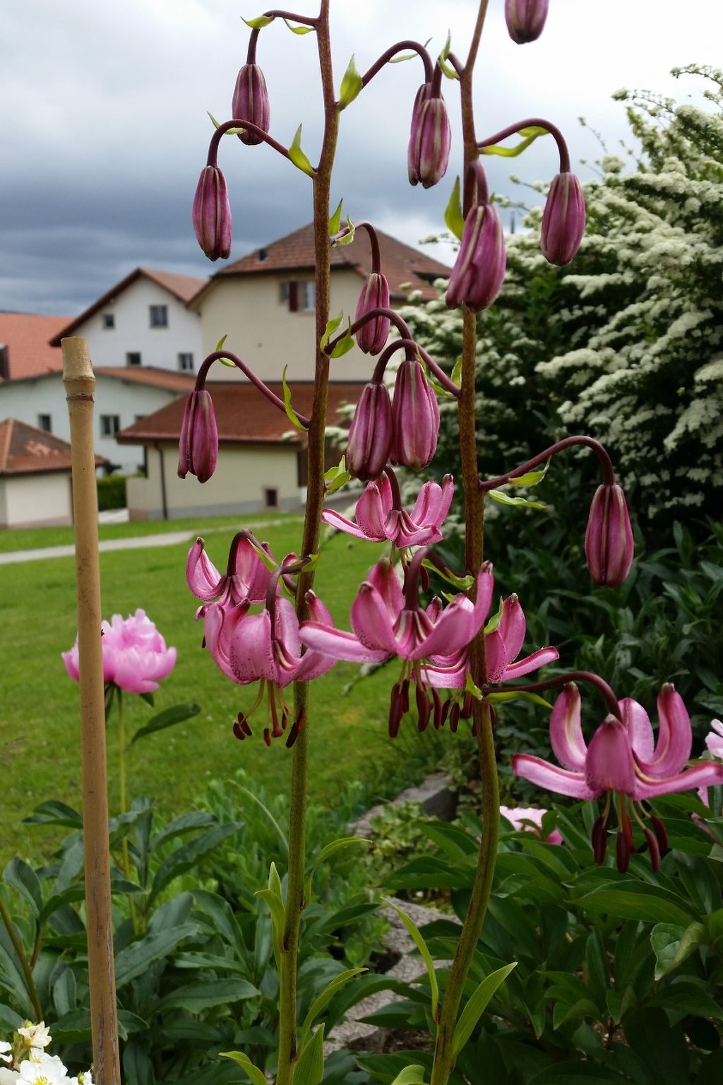 Appartement - Bellevue, (Les Breuleux), - Buiten