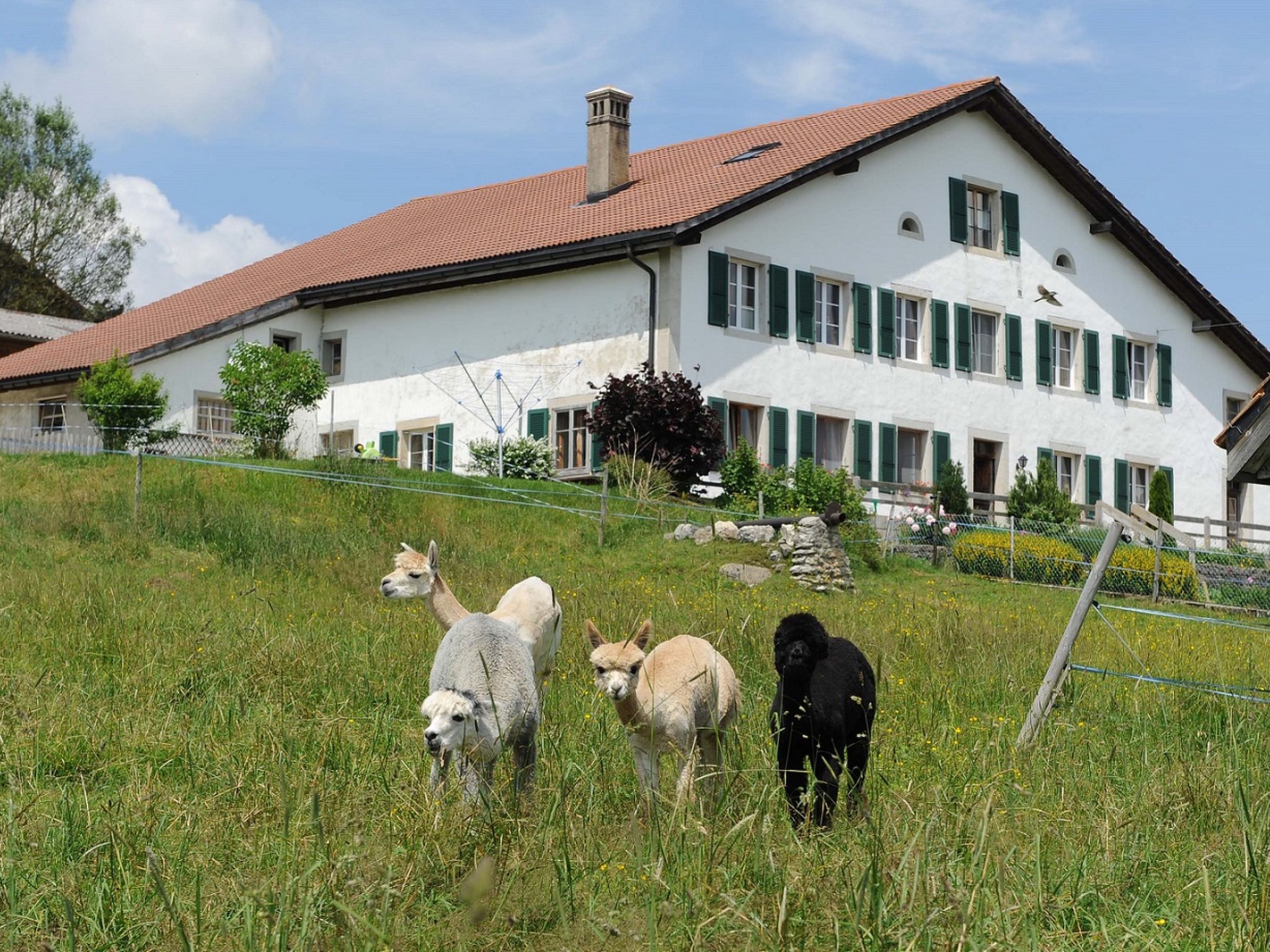 Gîte - Ferme O'Clés, (Le Cerneux-Veusil), - Buiten