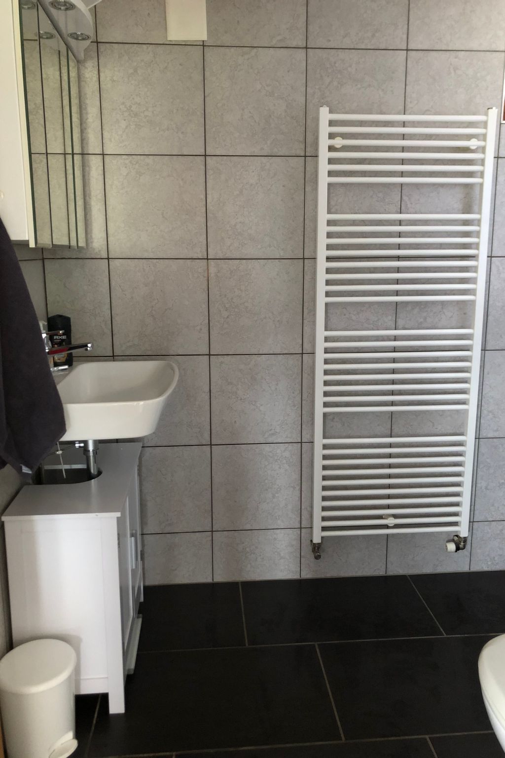 Appartement - Chez Nous, (Les Breuleux), – Salle de bains, photo 9 sur 22