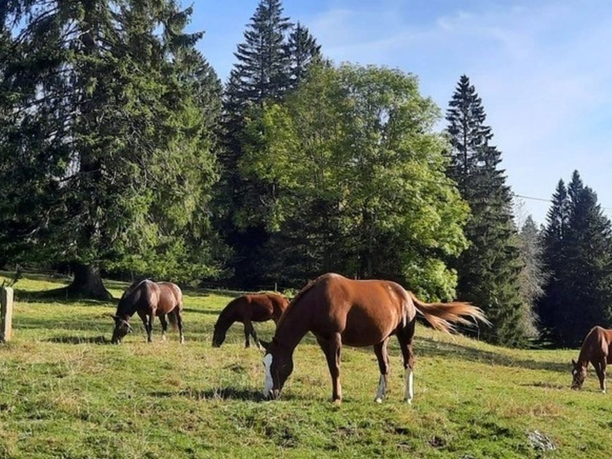 Maison de vacances - LM, (Le Bemont), - Dehors
