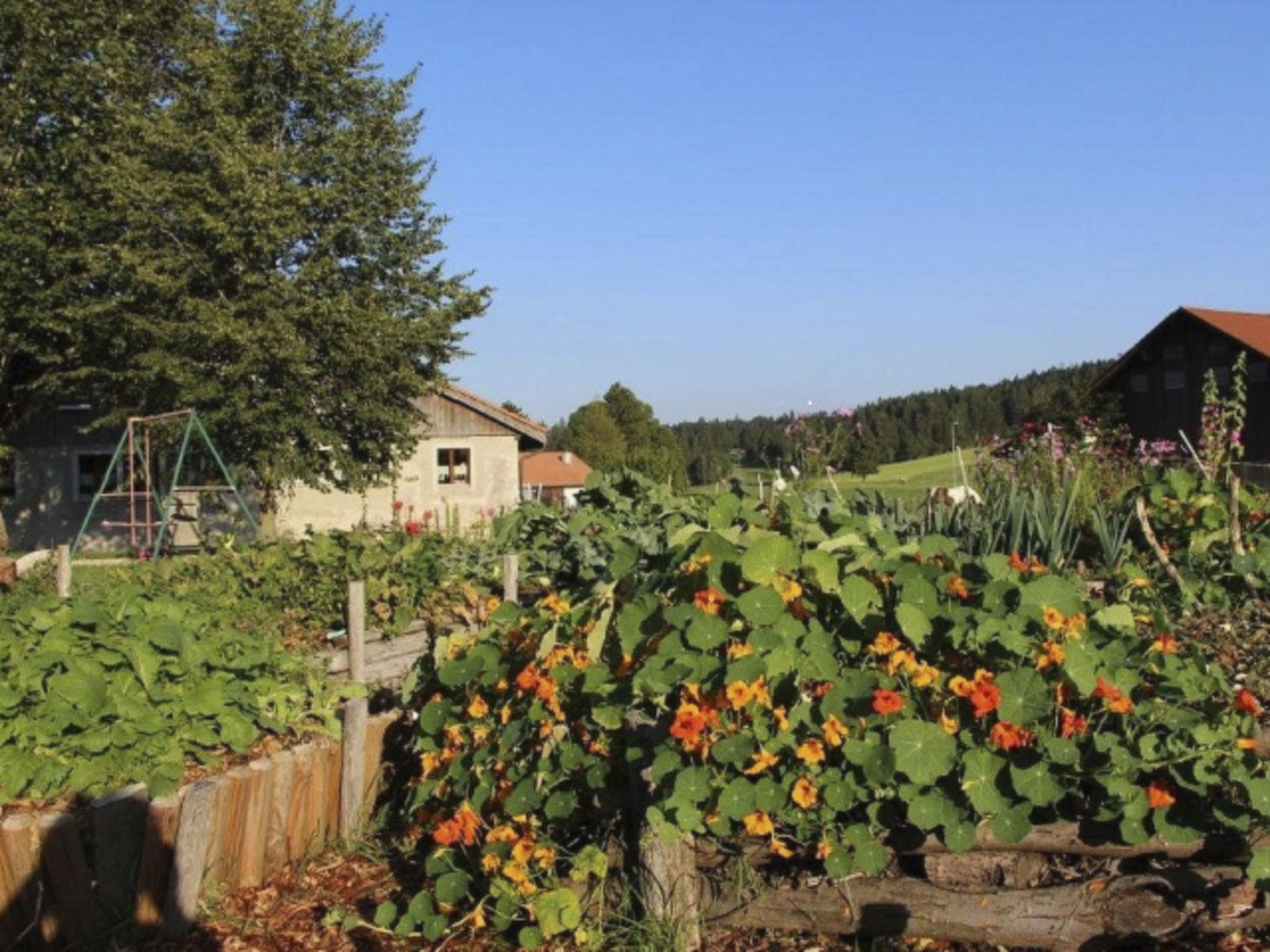 Maison de vacances - Les Hirondelles, (Montfaucon), - Outside