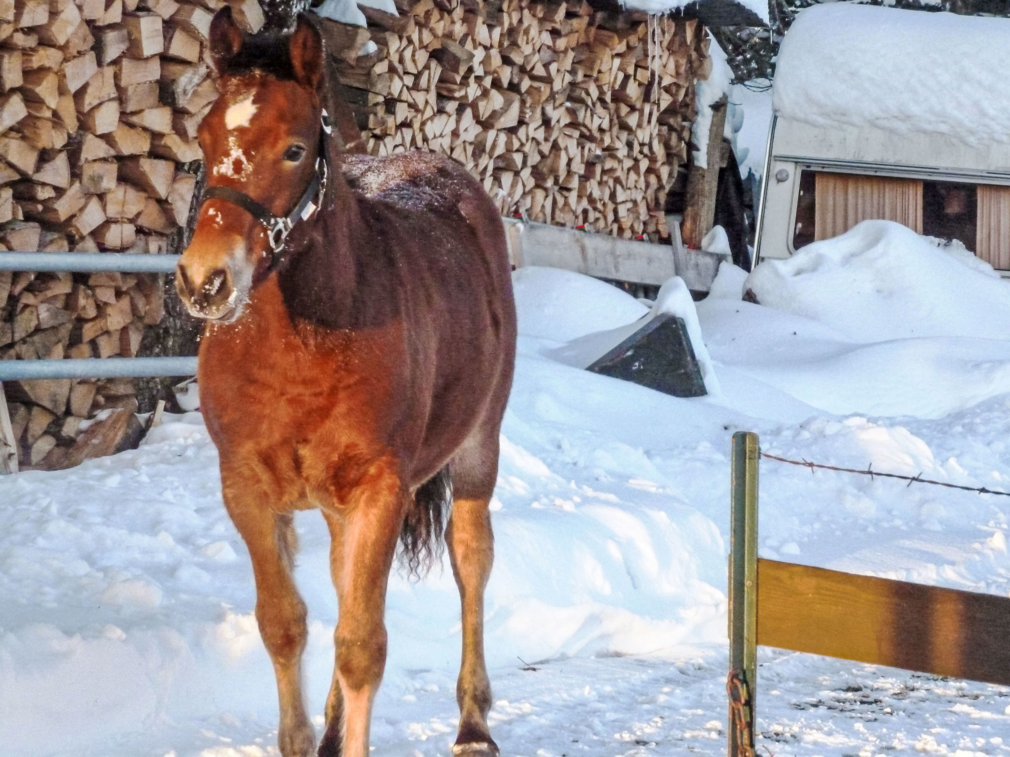Chalet Mon Désir Lajoux