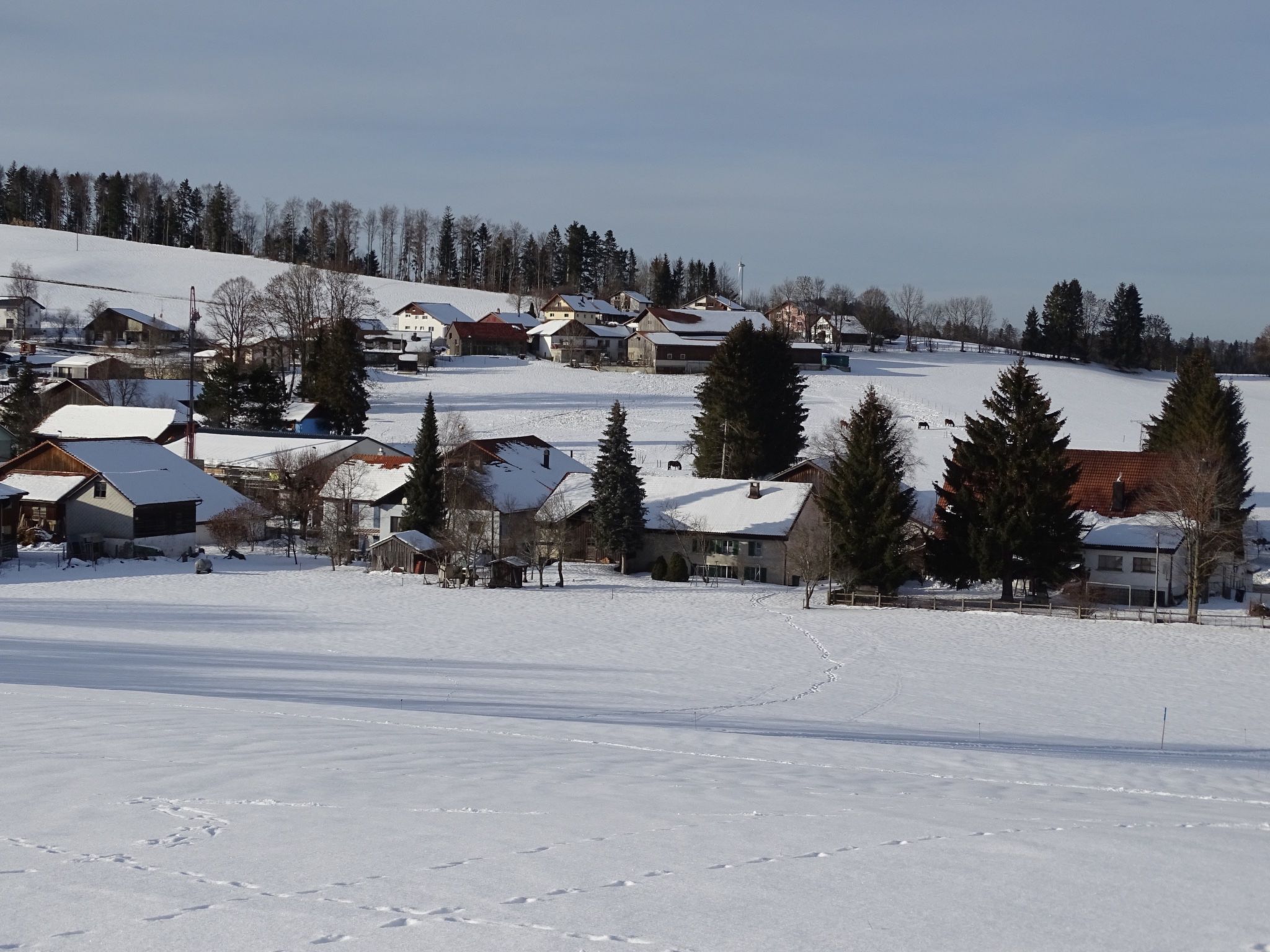 Appartement - La Racrue, (Lajoux JU),