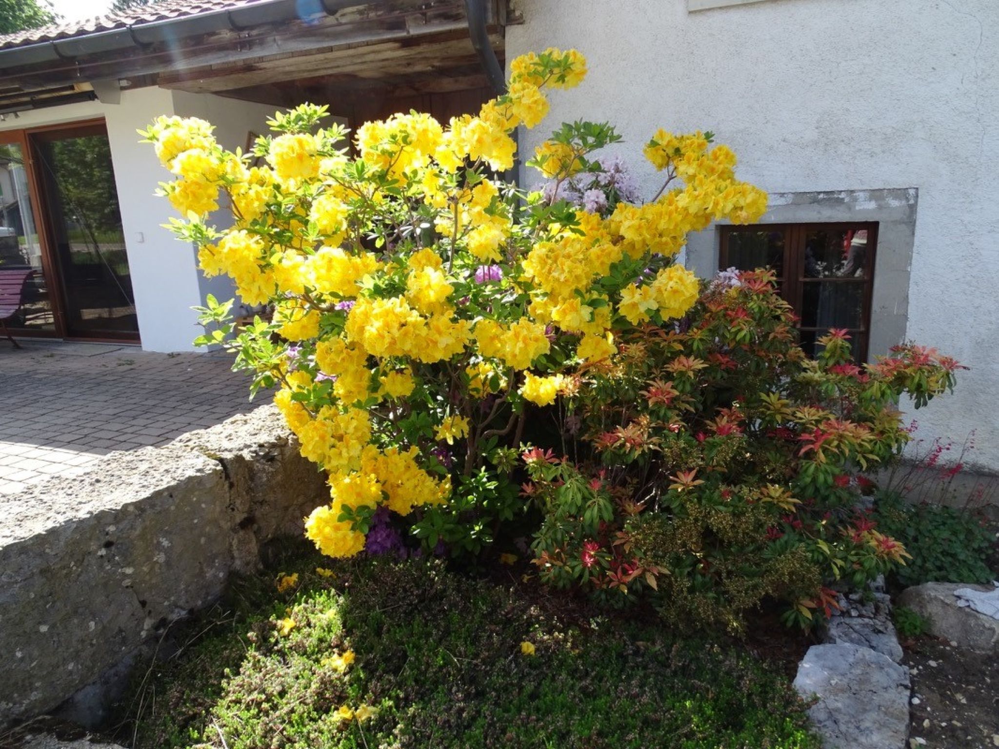 Appartement - La Racrue, (Lajoux JU), - Dehors