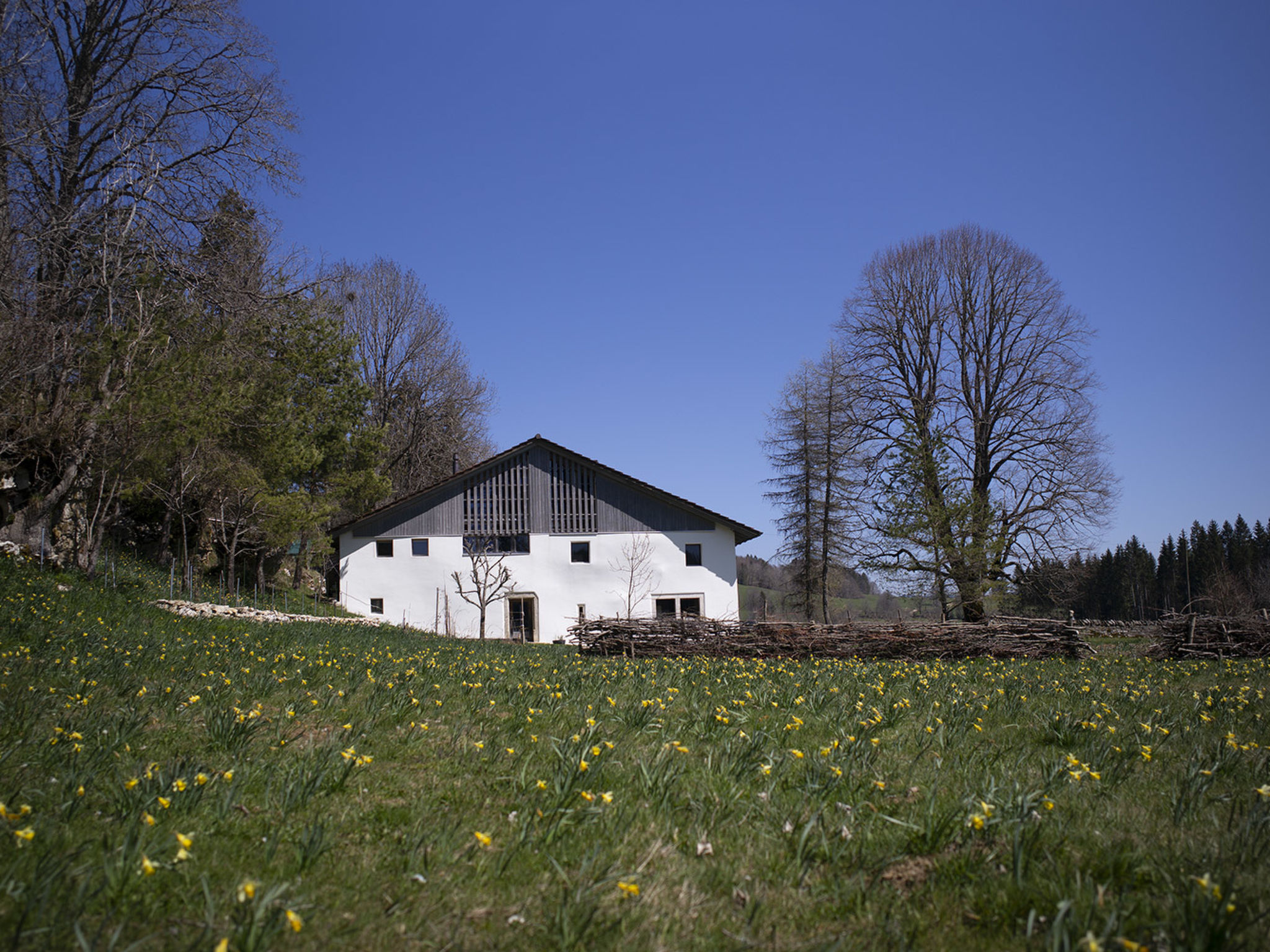 Appartements - N°5 et N°5B, (Le Prédame), - Buiten
