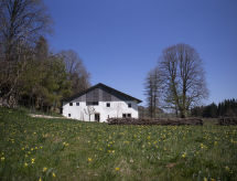 Ferienwohnung Appartement - N°5