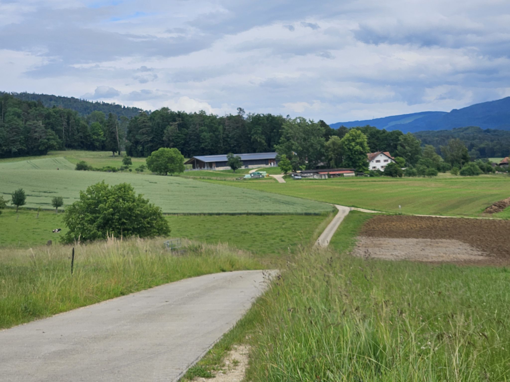 Appartement - Le Solvat, (Courcelon), - Buiten