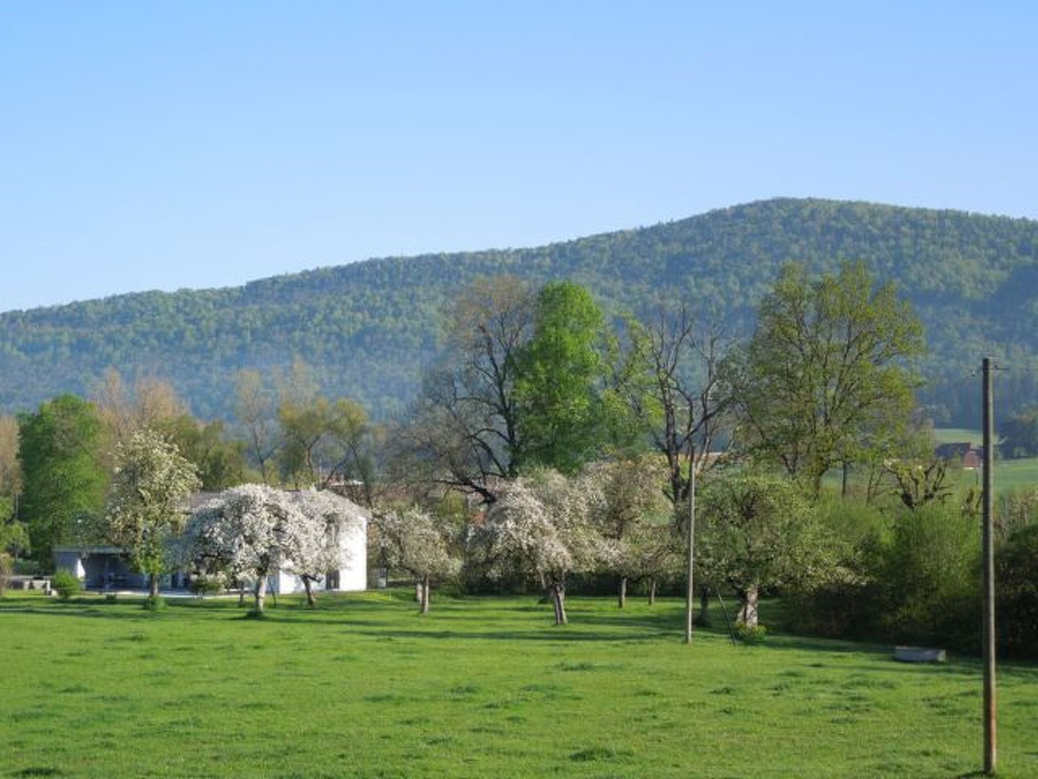 Appartement - Chez Fleury, (Courcelon),