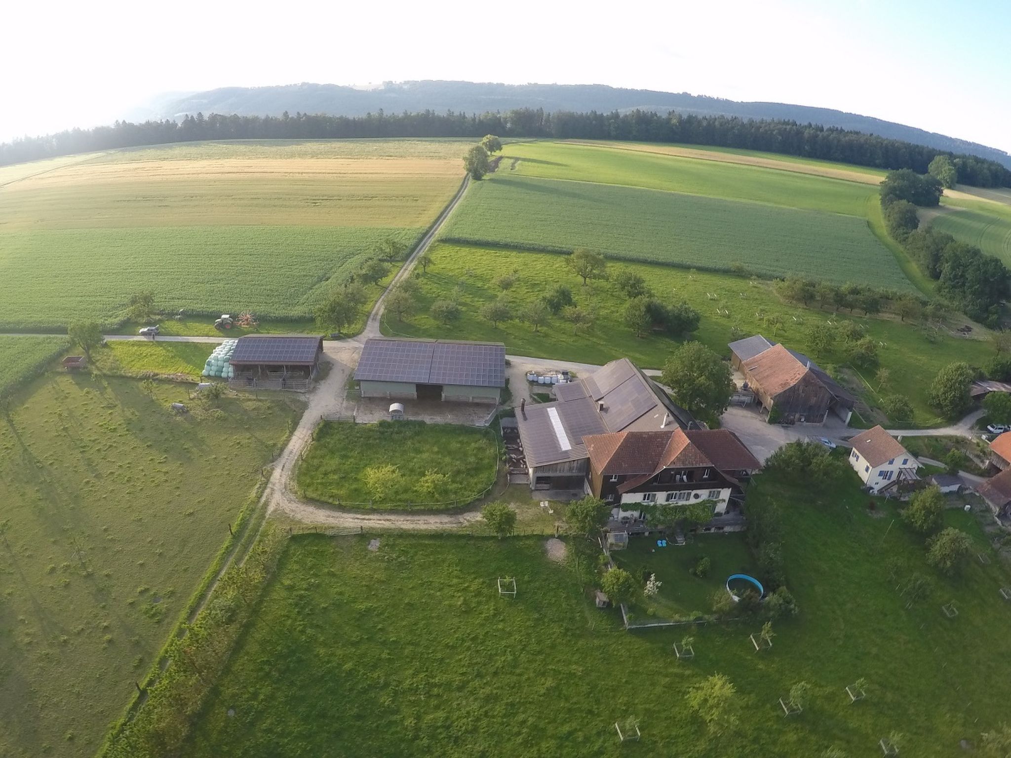 Appartement - Serena, (Courtetelle), - Buiten
