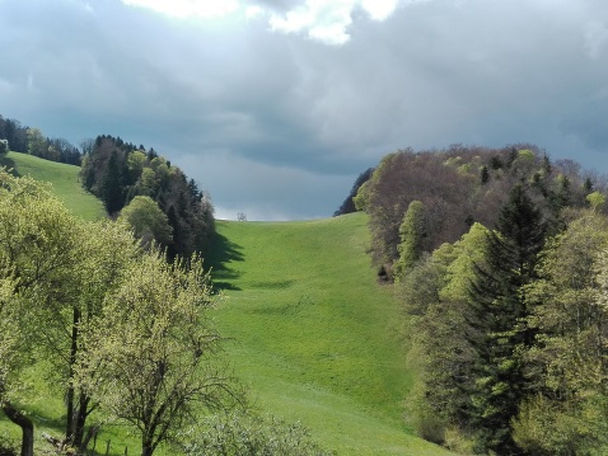 Appartements - Ferme La Joux-Chaupe, (St-Ursanne), - Buiten
