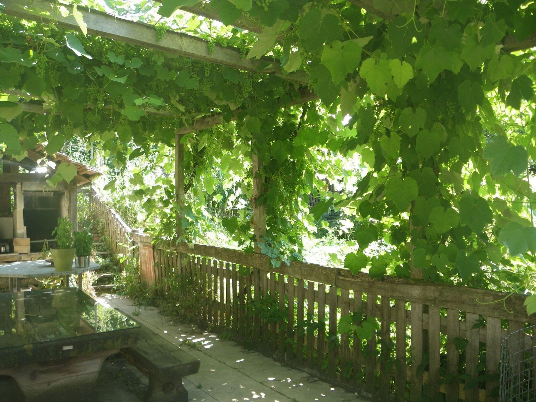 Appartements - Centre NatUrsanne, (St-Ursanne), - Buiten