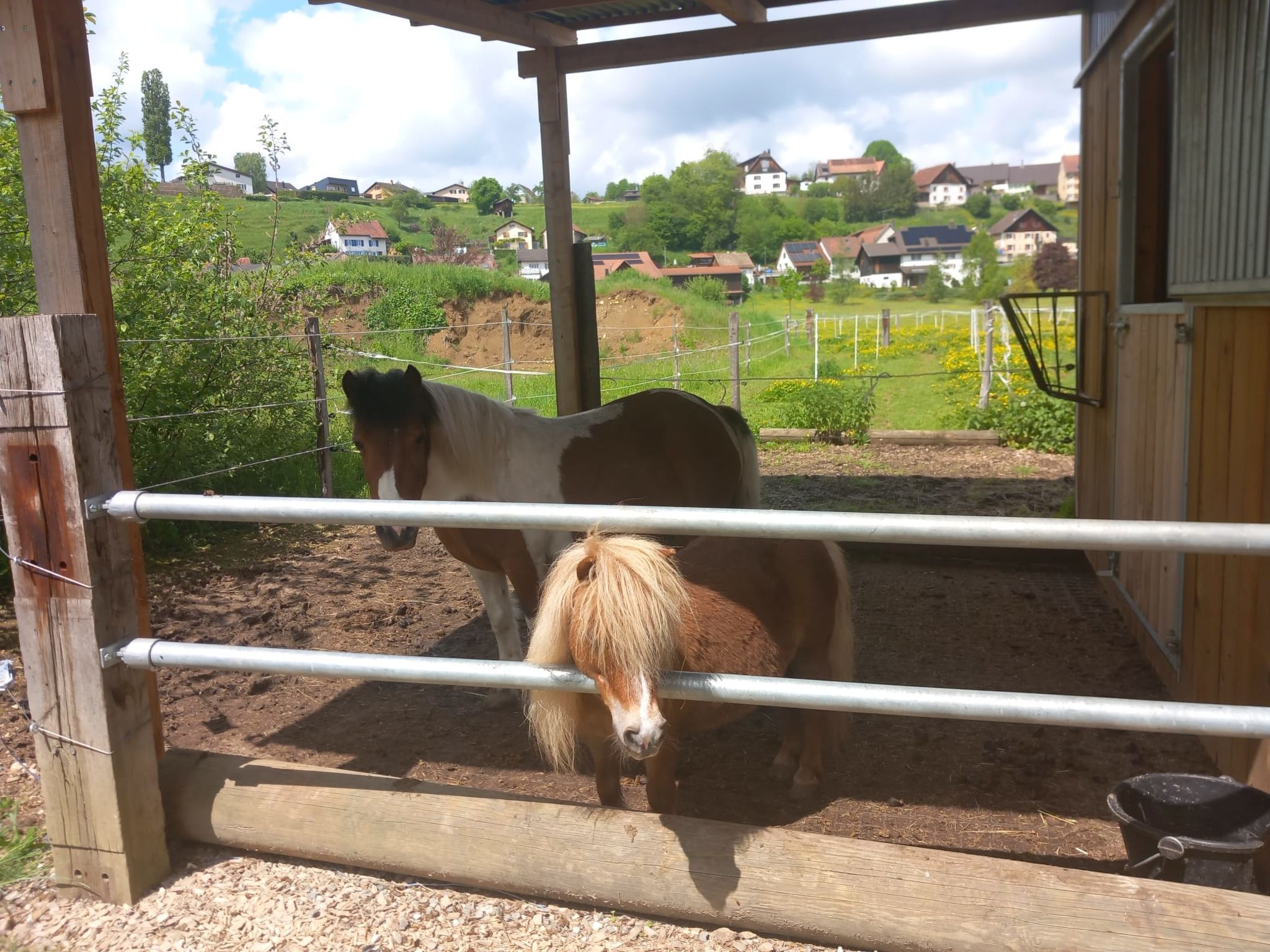 Appartement - Les P'tits Loups, (Courtedoux), - Buiten