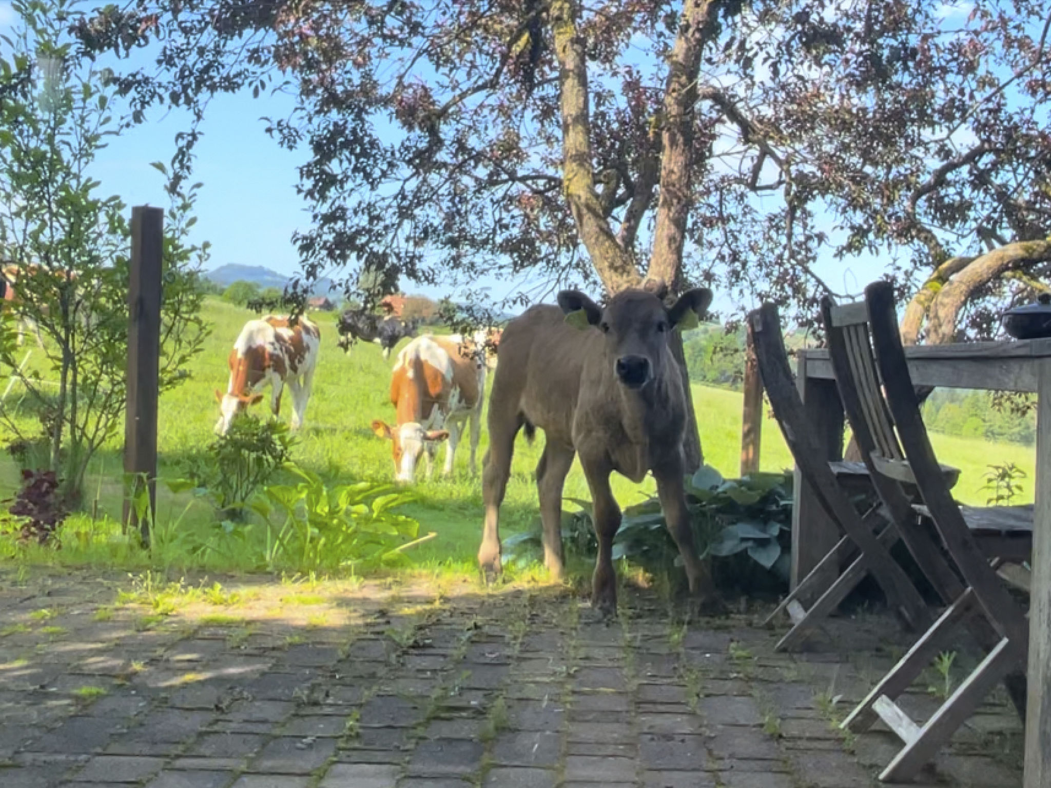 Rückzugsort mitten in der Natur - Buiten