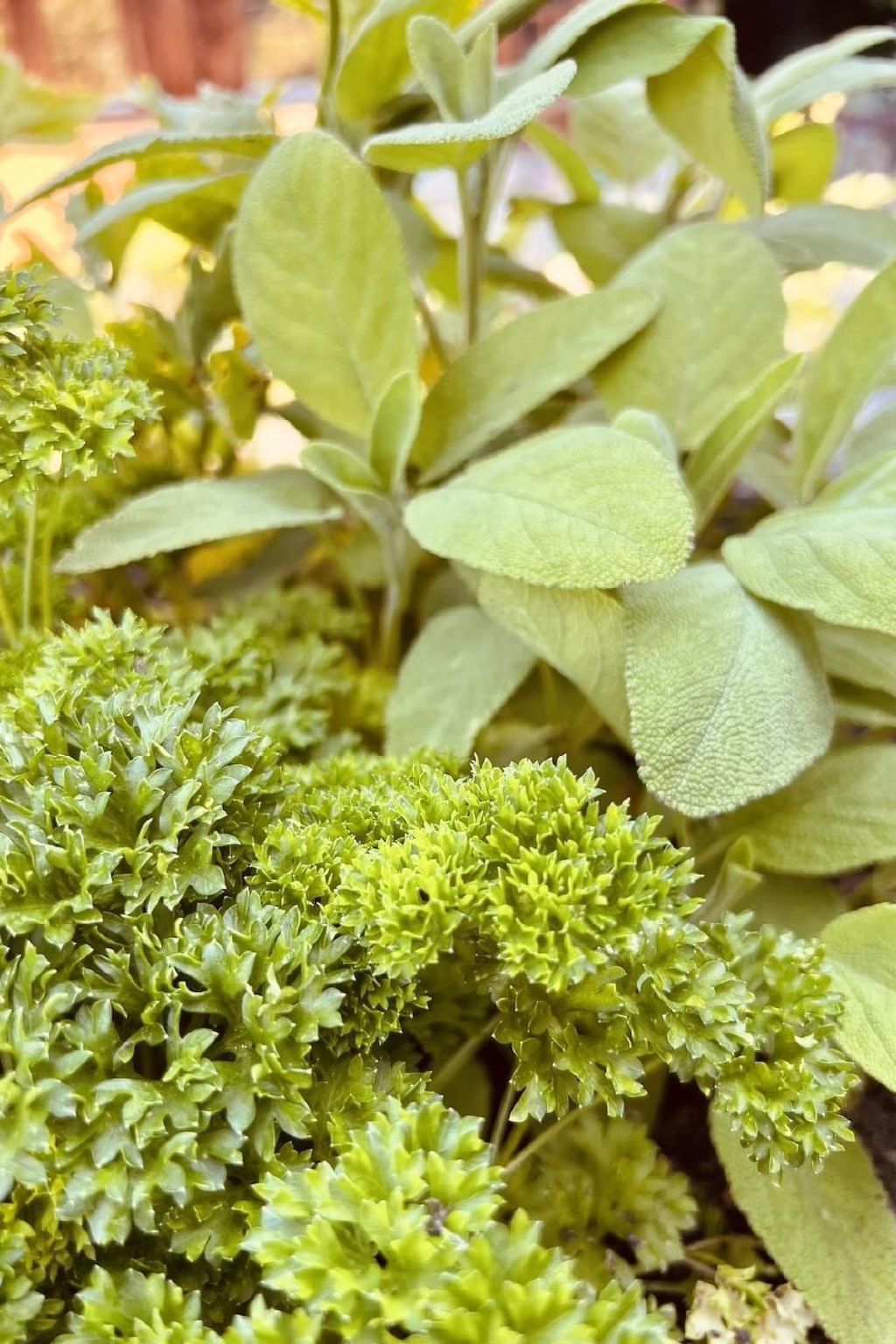 Alpaka-Ferienhaus Oenzlen-Image-tags.info