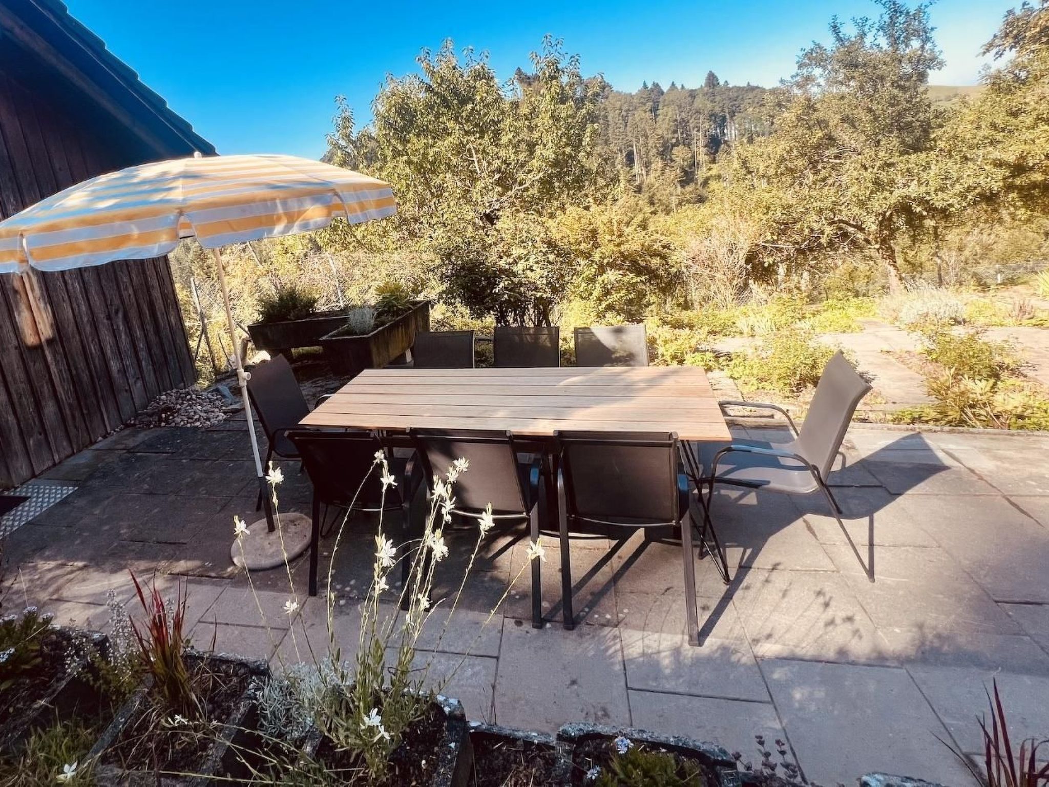 Alpaka-Ferienhaus Oenzlen-Image-tags.info