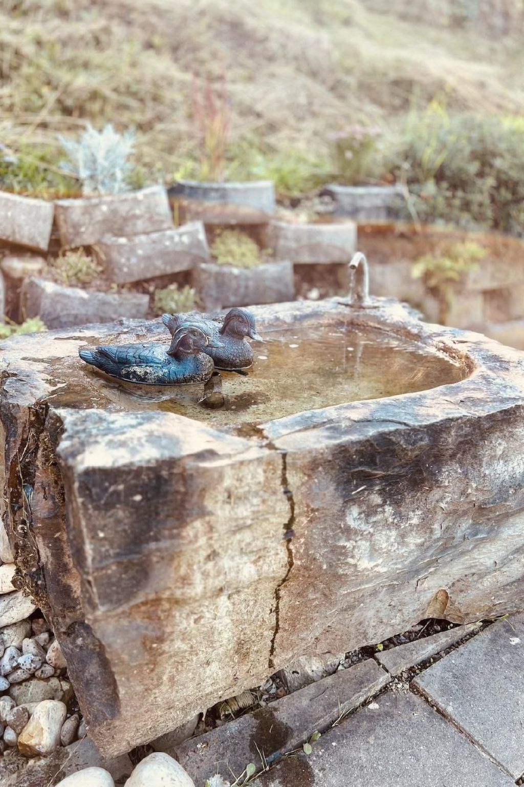 Alpaka-Ferienhaus Oenzlen-Image-tags.info