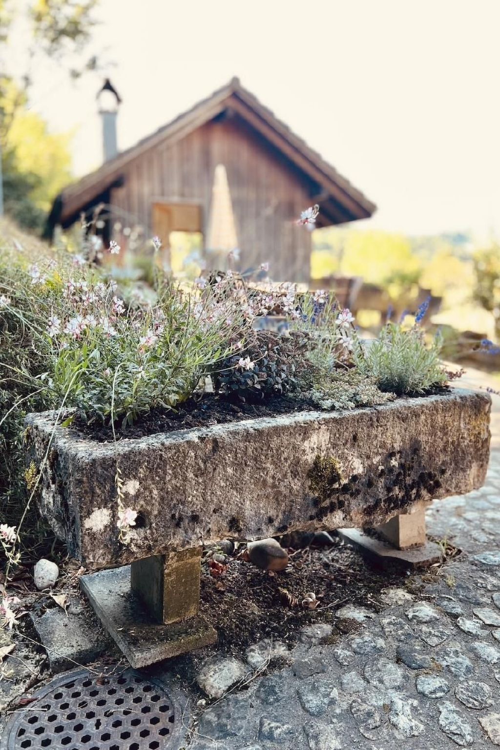 Alpaka-Ferienhaus Oenzlen-Image-tags.info