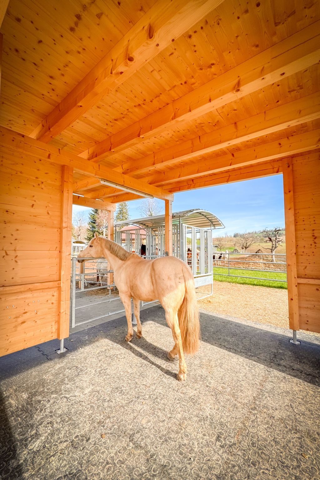 Spycher im Emmental-Image-tags.info