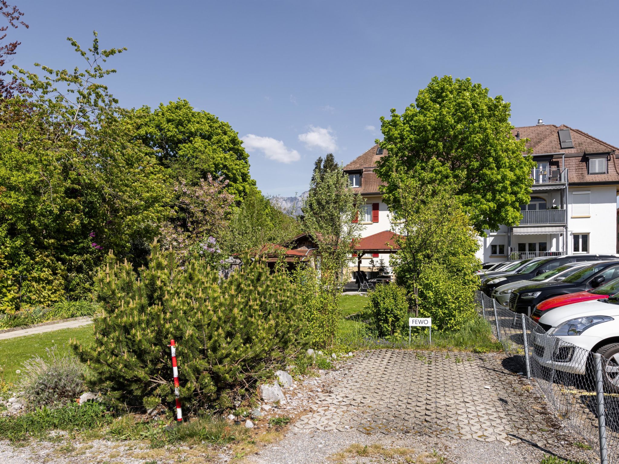 Photo of Spatzennest