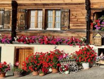 Appartement Panoramaferienwohnung Waldkircher
