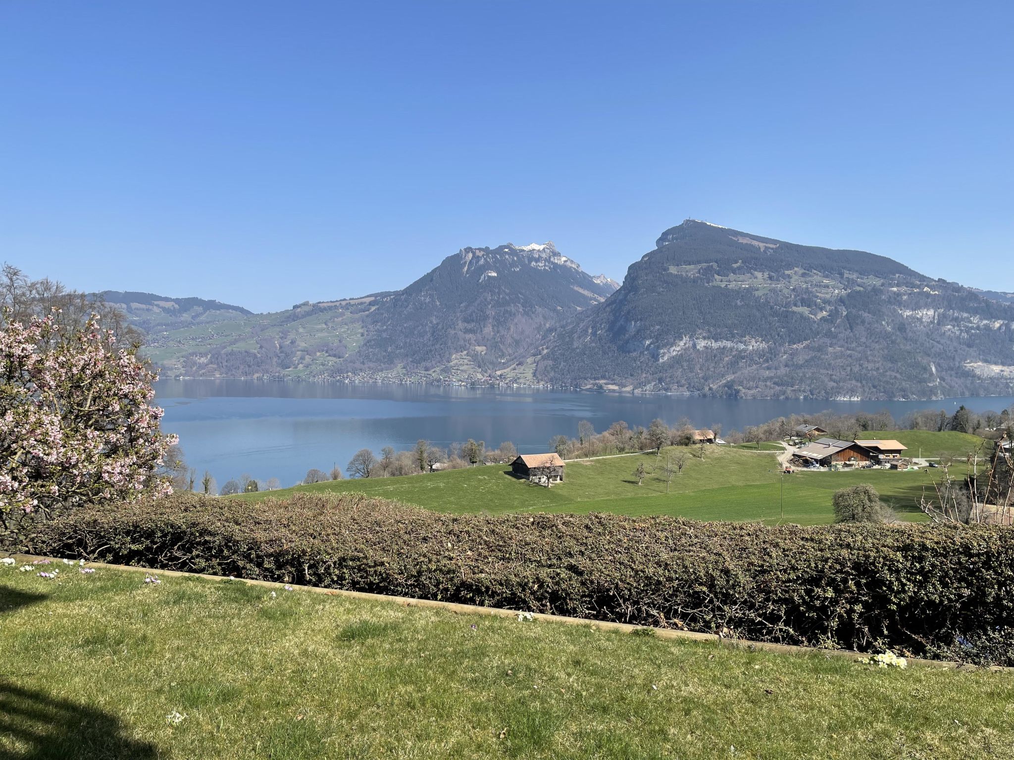 Panoramaferienwohnung Waldkircher Appartement/Fewo - Image 3