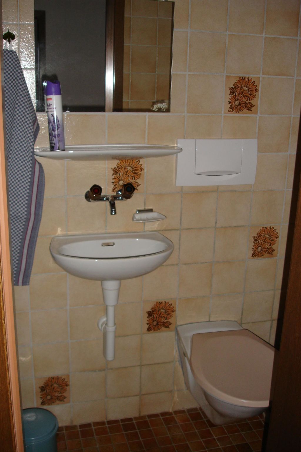 Chalet Wenger Appartement/Fewo, Dusche und Bad, WC, Balkon - Inside