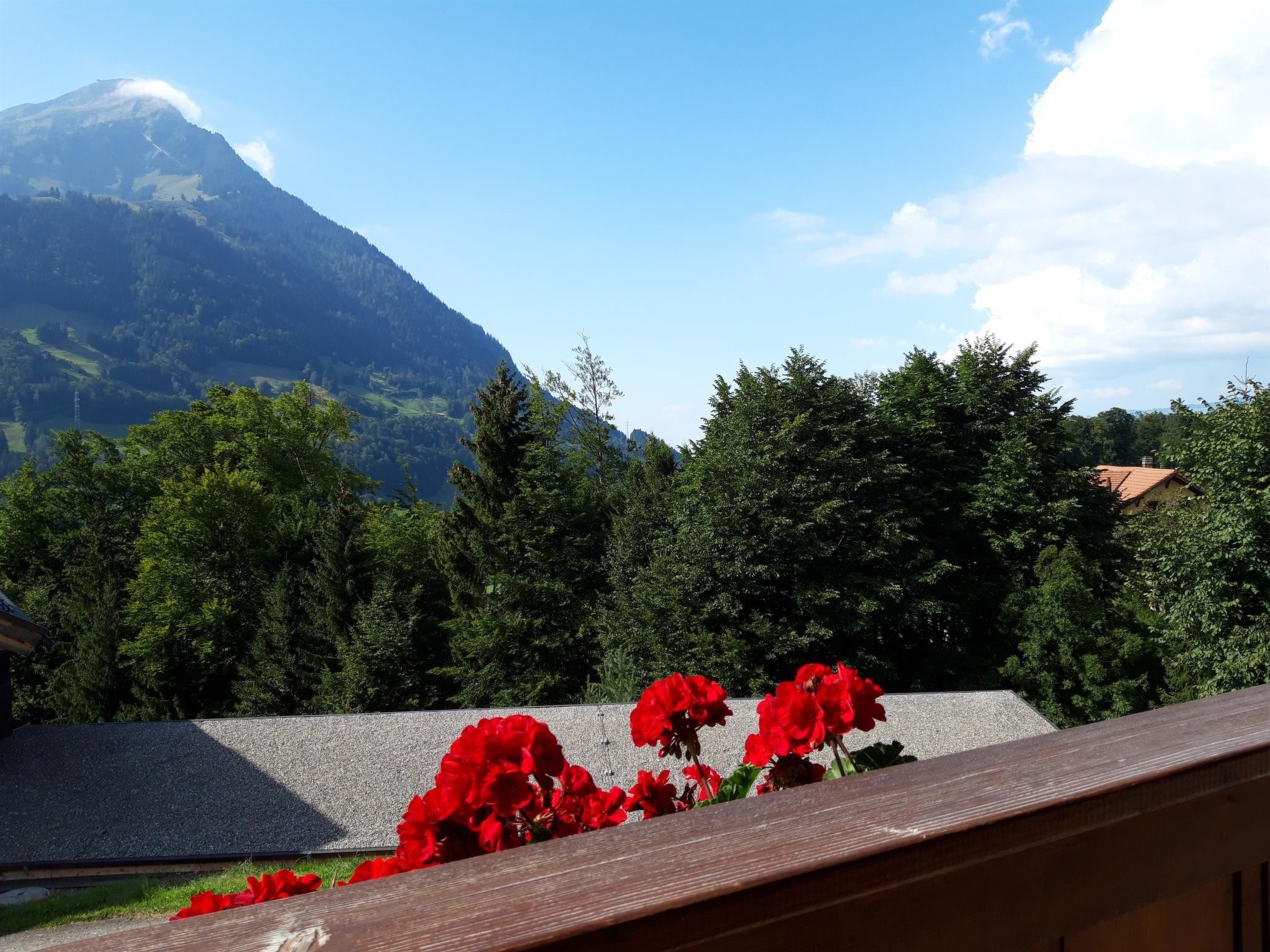 Chalet Wenger Appartement/Fewo, Dusche und Bad, WC, Balkon - Outside