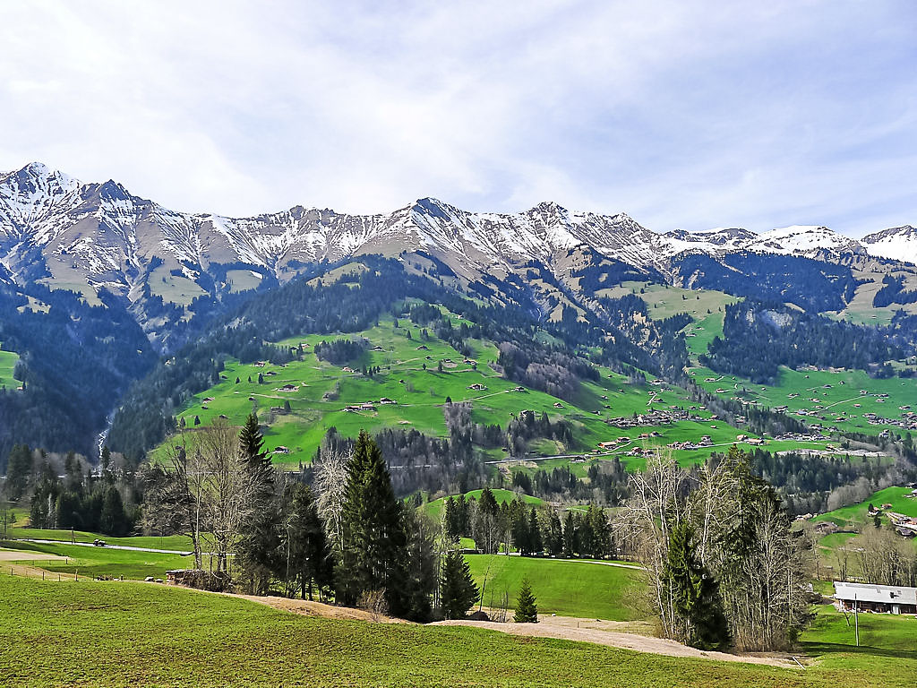 Bild 17