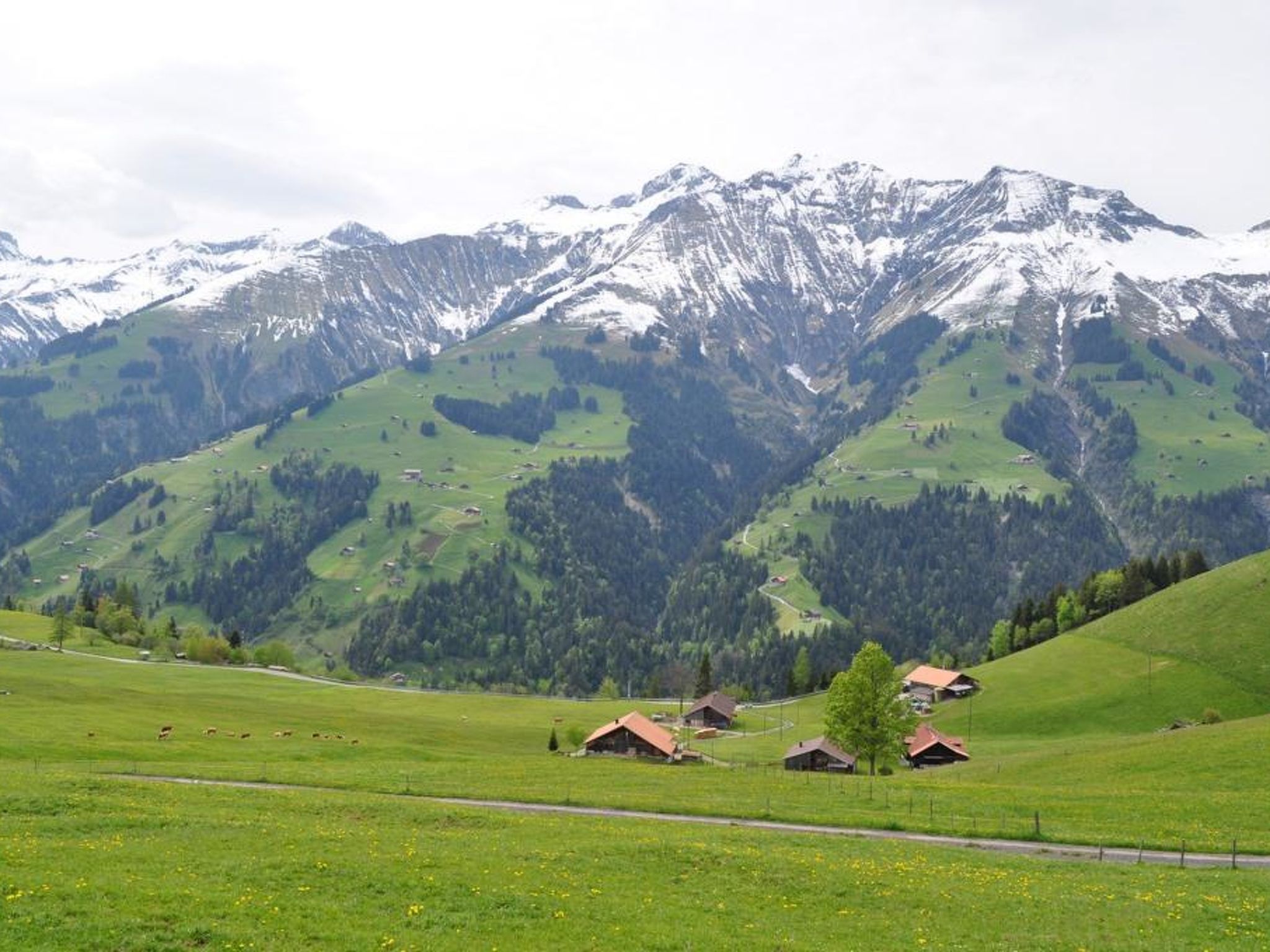 Sennhütte Gibeli Hütte, Bad, WC, 4 oder mehr Schlafräume Sennhütte - Outside