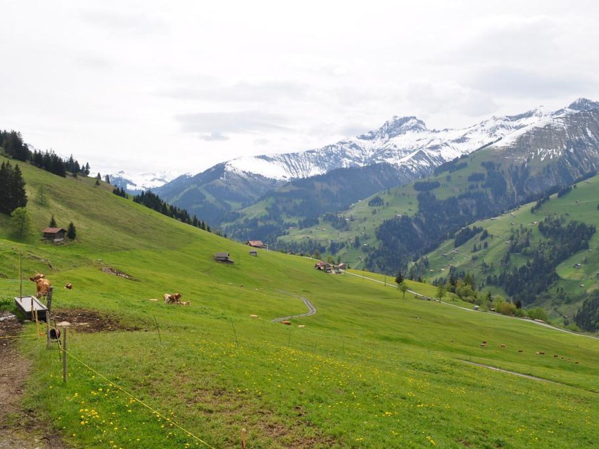 Sennhütte Gibeli Hütte, Bad, WC, 4 oder mehr Schlafräume Sennhütte - Outside