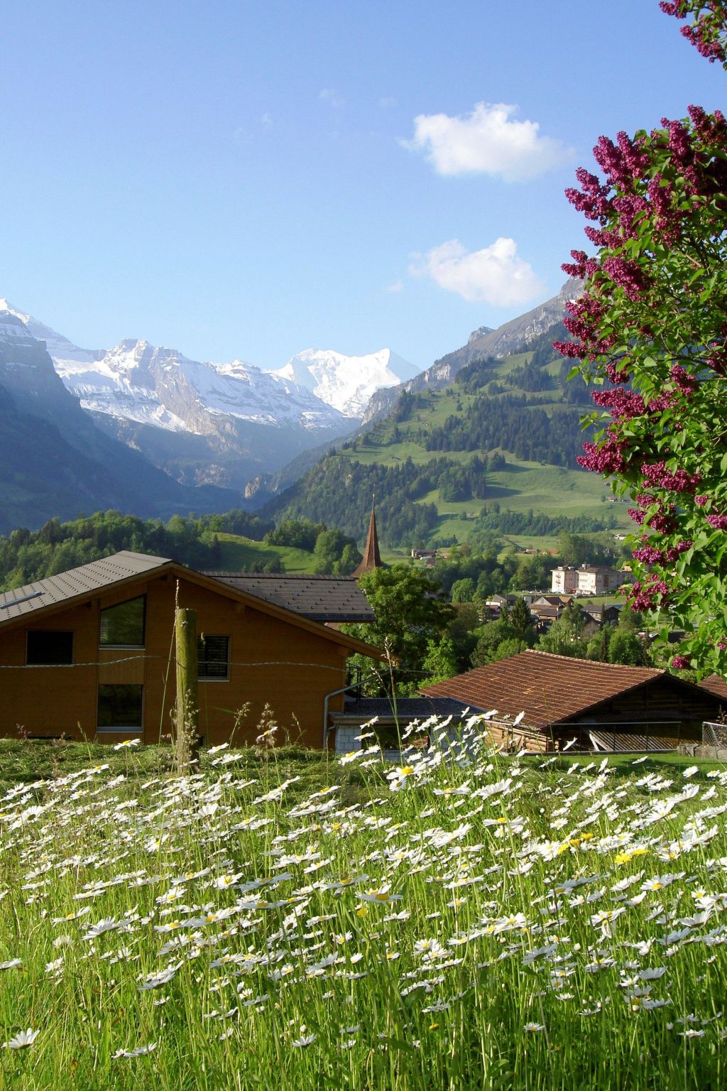 Cottage Appartement/Fewo, Dusche, WC, 1 Schlafra
