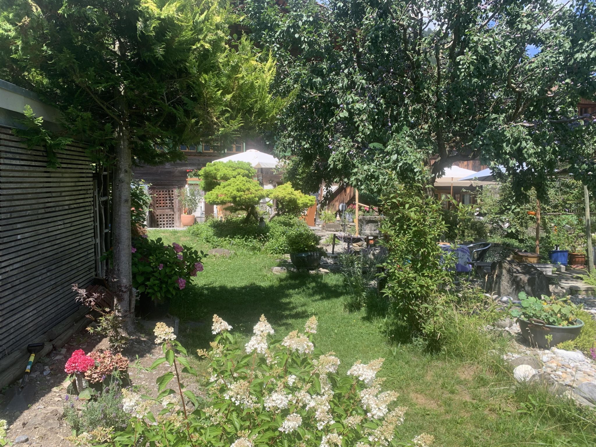 Gartenstudio "Belle Vue" Appartement/Fewo, Bad, WC, 1 Schlafraum - Draußen