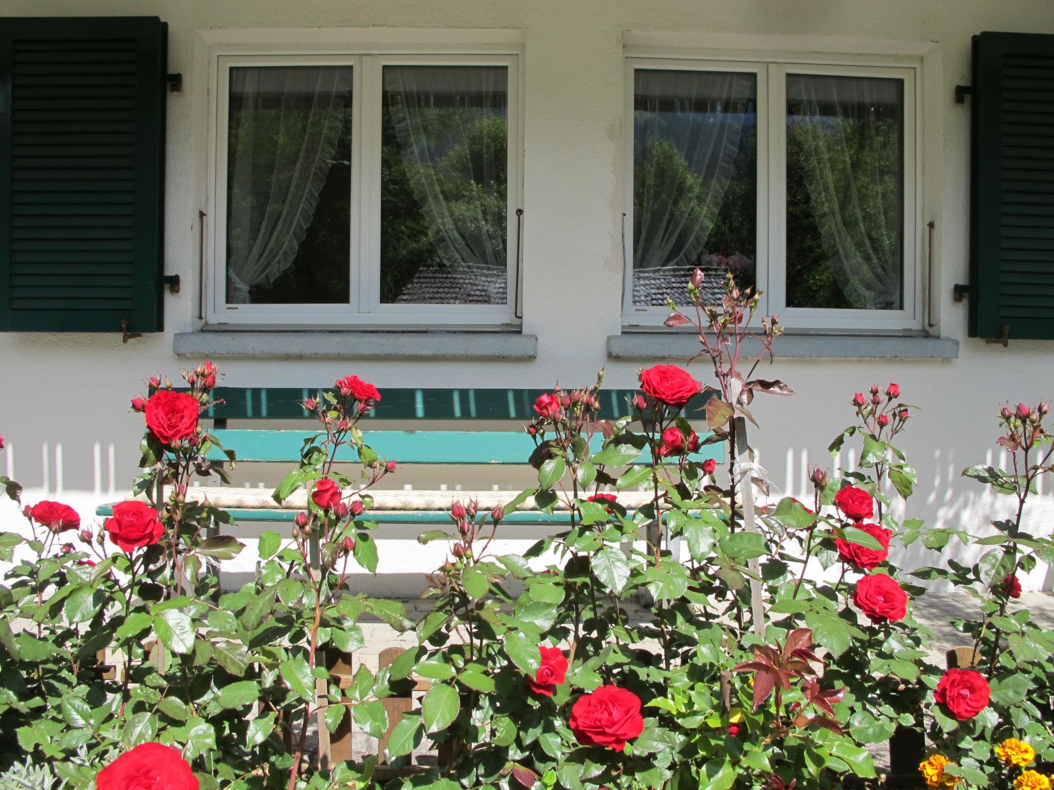 Helene Appartement/Fewo, Dusche, WC, 2 Schlafräume 3-Zimmerwohnung Parterre - Buiten