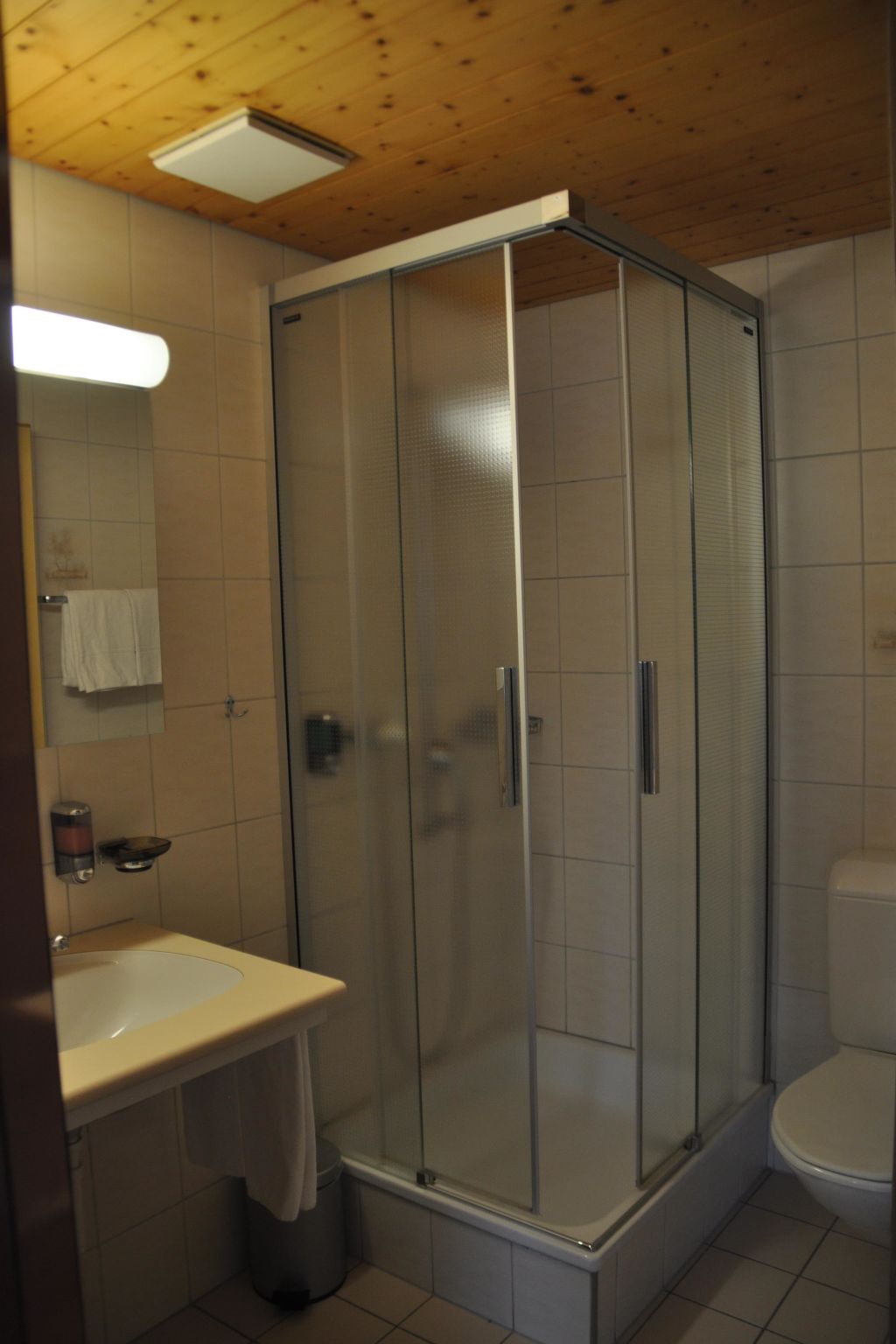 Ferien- und Familienhotel Alpina Doppelzimmer, Dusche, WC, Standard - Drinnen