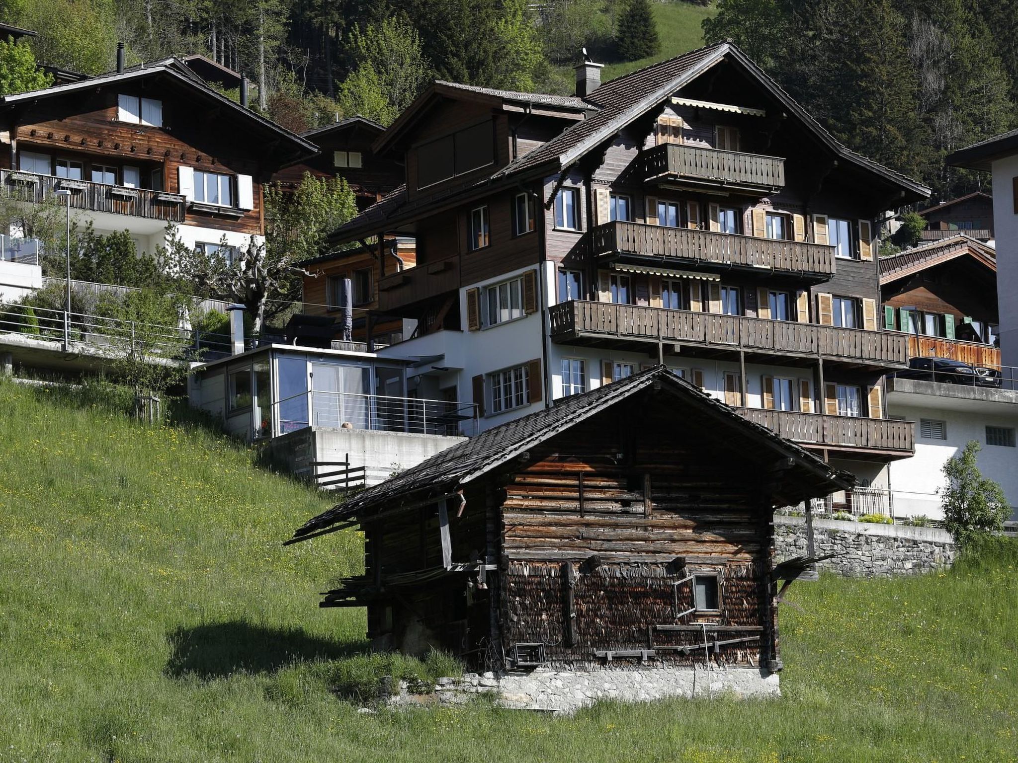 Waldrand Appartement/Fewo, Bad, WC, 2 Schlafräume 3-Zimmerwohnung - Dehors