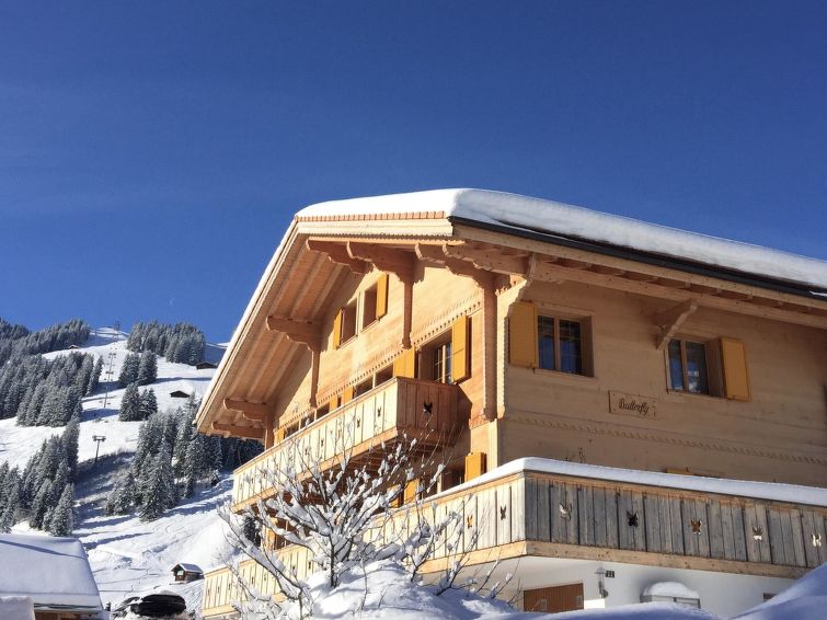 Butterfly Chalet in Adelboden