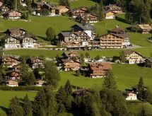 Rustiek appartement in Adelboden met panoramisch uitzicht op de bergen - thumbnail 5