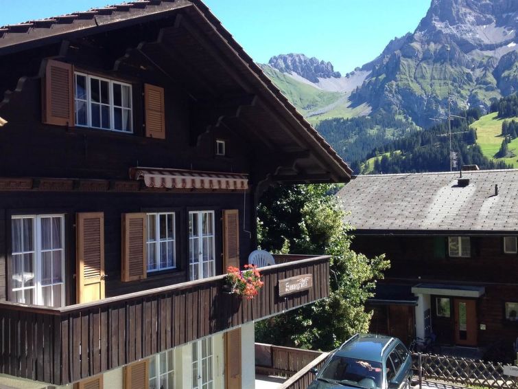 Sunnegruess Apartment in Adelboden