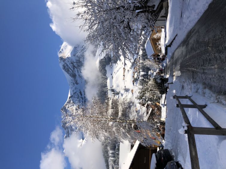 Photo of Sunnegruess