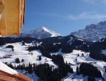 Anno Domini: Stijlvol appartement met haard en uitzicht in Adelboden - thumbnail 4