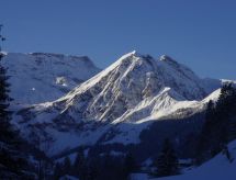 Anno Domini: Stijlvol appartement met haard en uitzicht in Adelboden - thumbnail 5