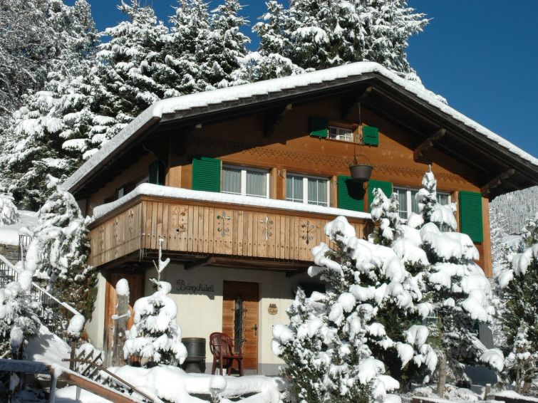 Bärgchutzli Parterre Accommodation in Adelboden