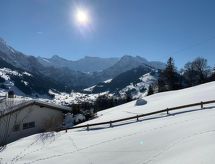 Panorama Adelboden