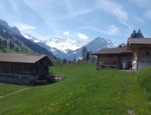 Appartement Chalet Wäschhüsi