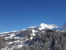 Appartement Chalet Wäschhüsi